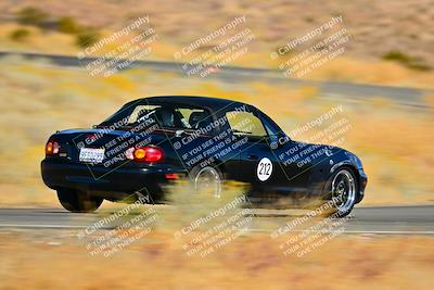 media/Nov-16-2024-Extreme Speed (Sat) [[6587d07cc4]]/Gold Group/Session 2 (Turns 3 and 5)/